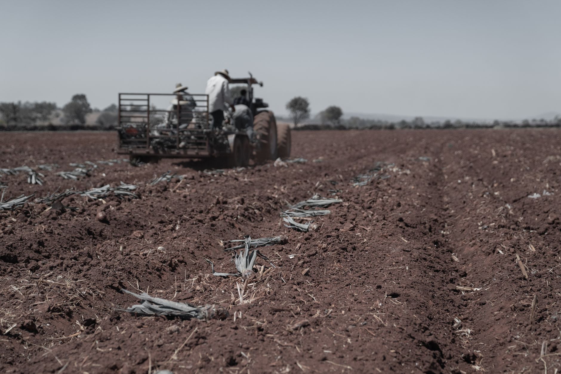 Farming