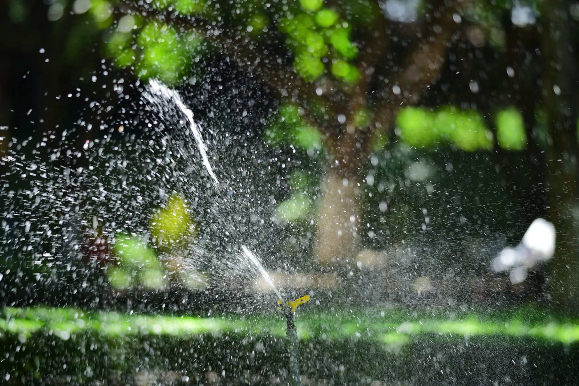 Irrigation Contractor